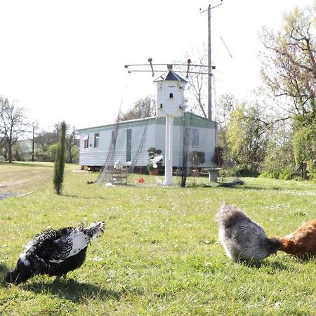 The Nest - Family Friendly Caravan Nr Glastonbury & Street Somerton  Dış mekan fotoğraf