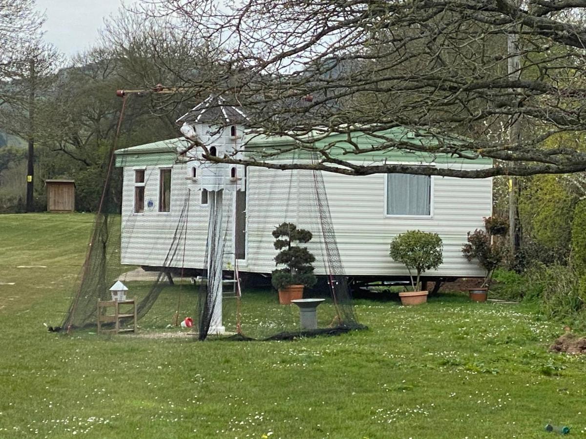 The Nest - Family Friendly Caravan Nr Glastonbury & Street Somerton  Dış mekan fotoğraf