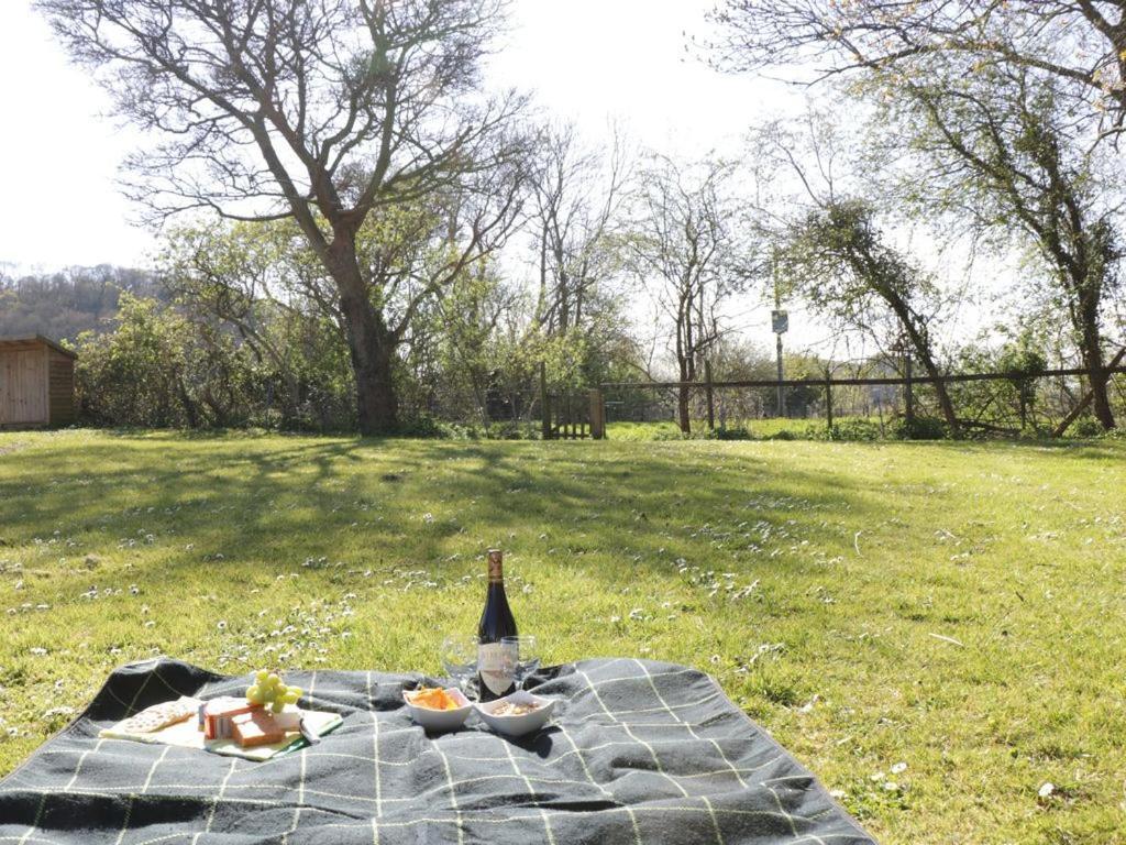 The Nest - Family Friendly Caravan Nr Glastonbury & Street Somerton  Dış mekan fotoğraf