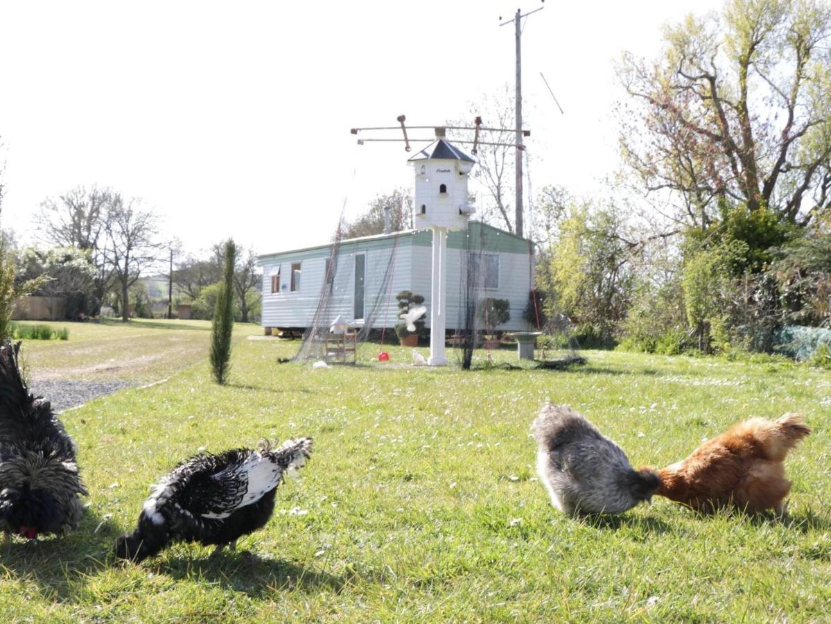 The Nest - Family Friendly Caravan Nr Glastonbury & Street Somerton  Dış mekan fotoğraf